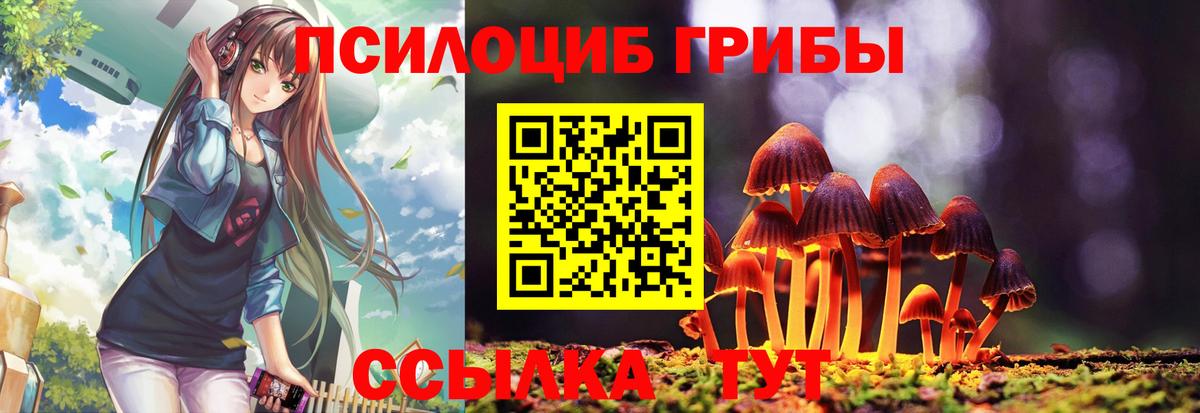 Псилоцибиновые грибы GOLDEN TEACHER  где купить   Северобайкальск  Вход с VPN 