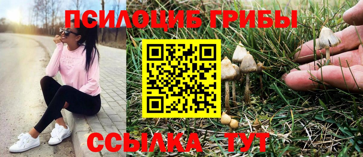 Псилоцибиновые грибы MAGIC MUSHROOMS Северобайкальск
